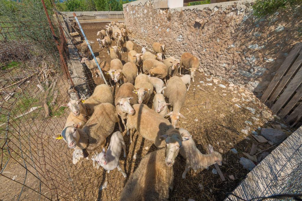 Willa Granja Inca  Zewnętrze zdjęcie